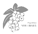 logo Pepinieres Multibaies
