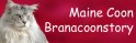 logo Schellens Branacoonstory Marcel