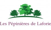 LOGO DAURIOS MICHEL