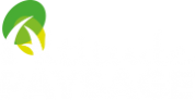 logo Altitude Paysage