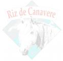 logo Benoit Riz Canavere