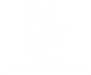 logo Agri Services