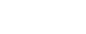 logo Raybaud Michel