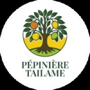 logo Pepiniere Tailame
